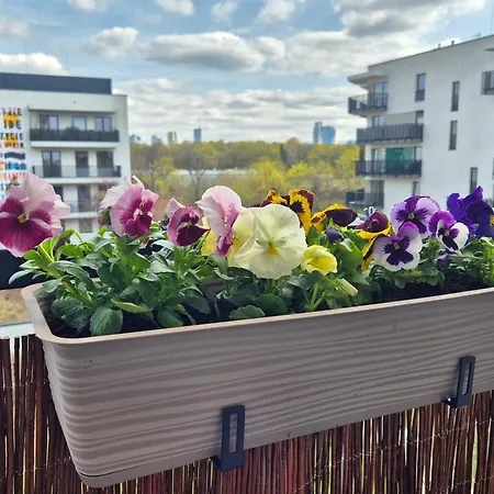 Appartamento Art Lux - Dygata *